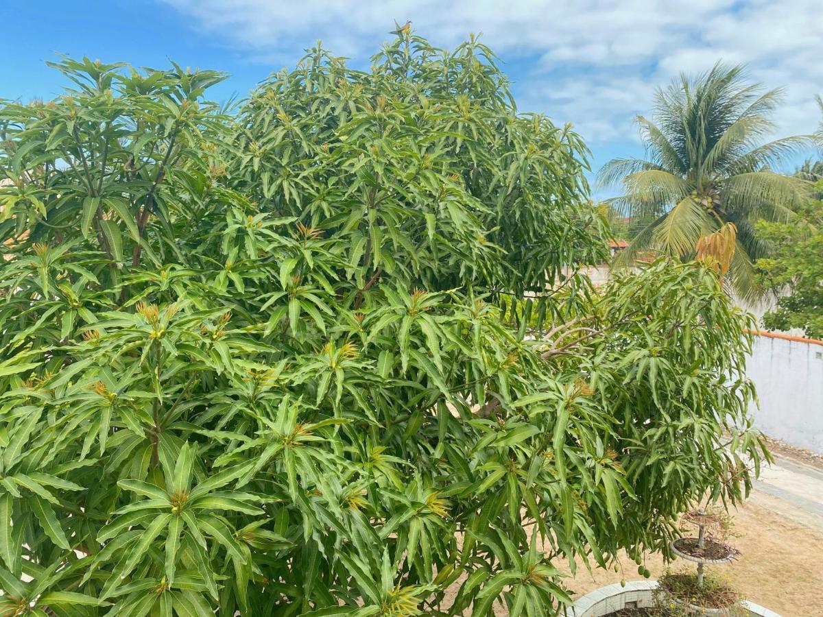 Sol, Mar E Privacidade Villa Aracaju Buitenkant foto